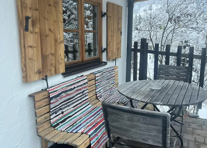 Prosthaeusl 1866 约赫贝格