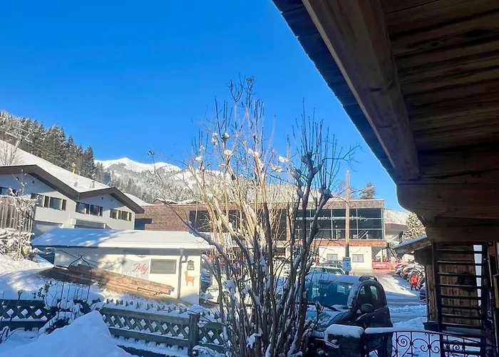 Prosthaeusl 1866 * 约赫贝格