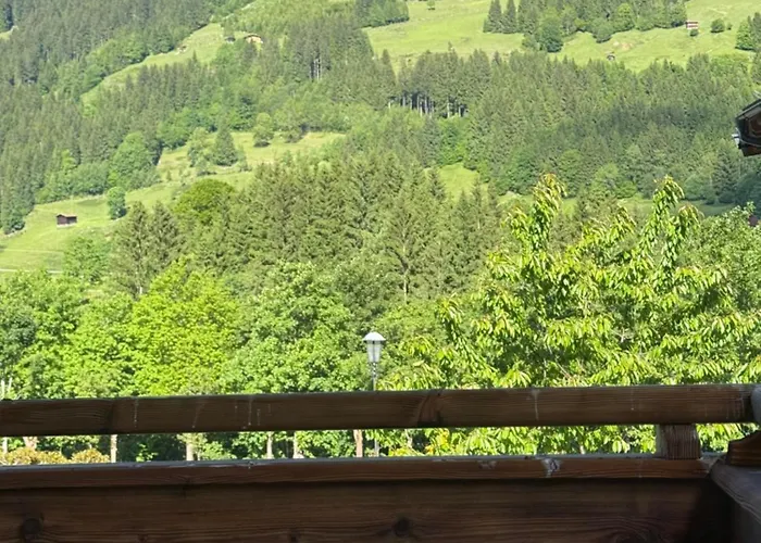 Prosthaeusl 1866 * 조크버그